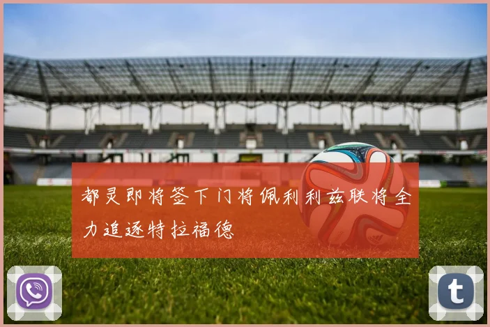 都灵即将签下门将佩利利兹联将全力追逐特拉福德